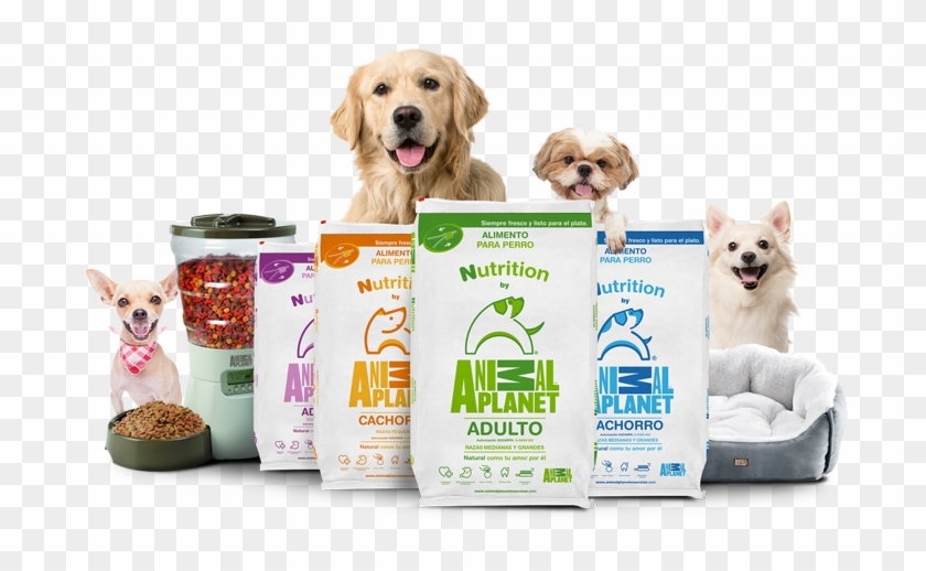 Premium Dog Food